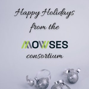 MOWSES Marks a Strong First Project Year: Advancing the Future of Green Steel in Europe